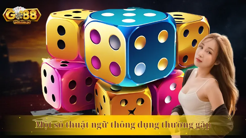 Một số thuật ngữ thông dụng thường gặp